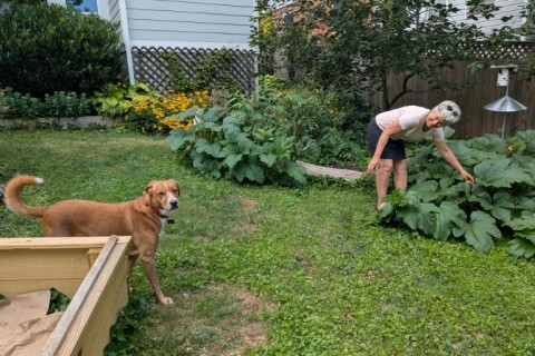 Sandra Marquardt was wary of spraying her yard with pesticides