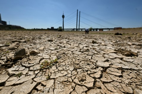 The partially dried-up river bed of the Rhine in Duesseldorf, western Germany, on July 28