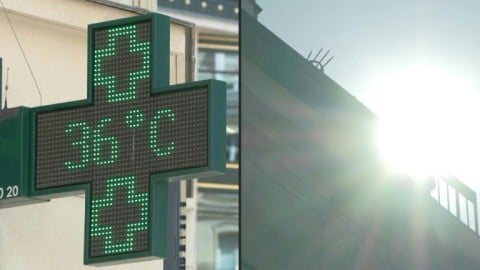 36C in Paris as heatwave grips almost all of France