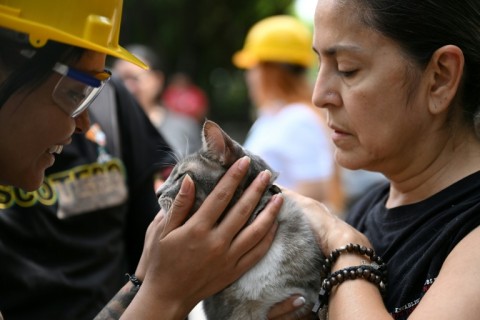 Vickye Giraldo said reuniting with her pet cat was a 'dream come true'