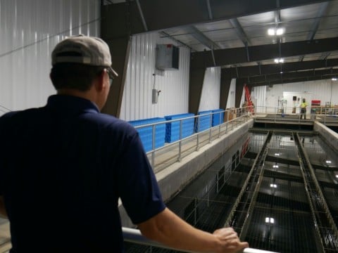 Lance Lin, director of the West Virginia University Rare Earth Elements Initiative, observes an acid mine drainage treatment basin, which leads to the extraction of rare earths
