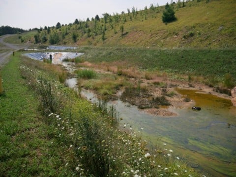Polluted water flowing from a former coal mine is collected for treatment in the West Virginia University Rare Earth Elements Initiative