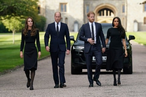 The brothers' relationship reportedly went sour after Harry began dating his now-wife Meghan (R)