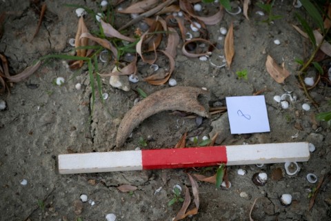 A history museum organised the guided search to teach people how to recognise different finds