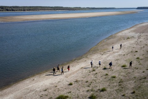About 20 volunteers took part in the search