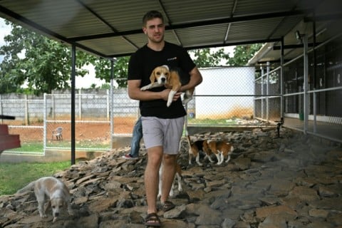 Dognosis co-founder Itamar Bitan holds a dog at his facility in Kempohalli village on the outskirts of Bengaluru