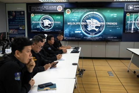 Officials from the Department of National Parks, Wildlife and Plant Conservation (DNP) listening to a press briefing for AFP, at their headquarters in Bangkok