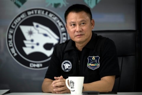 Director of the Wildlife Crime Intelligence Center, Polawee Buchakiet, conducting a press briefing for AFP at the Department of National Parks, Wildlife and Plant Conservation (DNP) headquarters in Bangkok