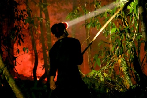 According to the Nusantara Atlas fire tracker, more than 285,000 hectares have burnt in Indonesia so far this year