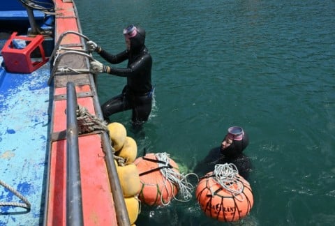 South Korean haenyeo Woo Jung-min (L) and Jin So-hee (R) returning to the boat after harvesting in the South Korean coastal town of Geoje
