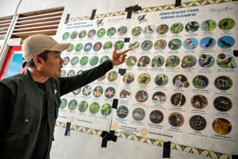 Imam Mujiono, biodiversity field project coordinator for Borneo Future Indonesia, shows some of the targeted animals to observers