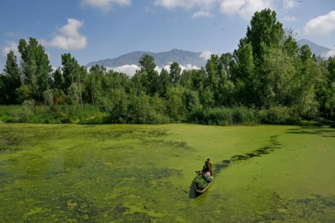 (FILES) A man rows his boat carrying vegetables through a polluted area of the iconic Dal Lake in Srinagar on May 14, 2026.