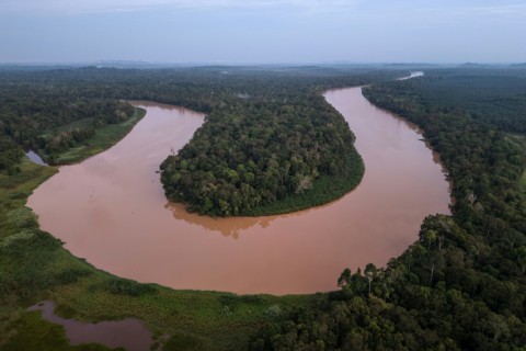 Lower Kinabatangan, a floodplain in eastern Sabah of around 400 square kilometres, is home to around 160 elephants