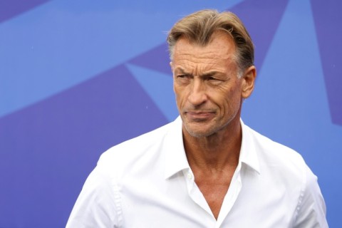 Herve Renard coached Ivory Coast to the 2015 Africa Cup of Nations title.