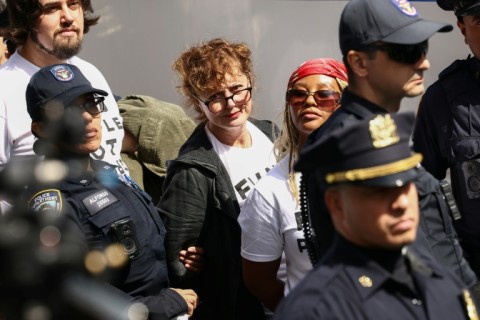 Susan Sarandon Arrests: A 27-Year Timeline of Her Activism