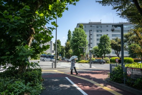 Japan saw its hottest summer on record in 2025, with warmer days on the rise globally due to climate change