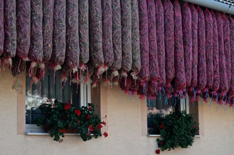 Red peppers hung up for drying were once a common sight in Hungary's southern countryside