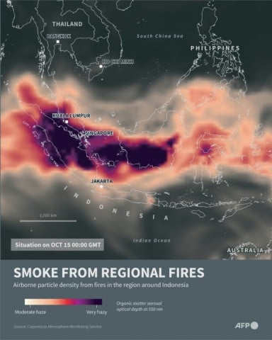 Smoke from regional wildfires