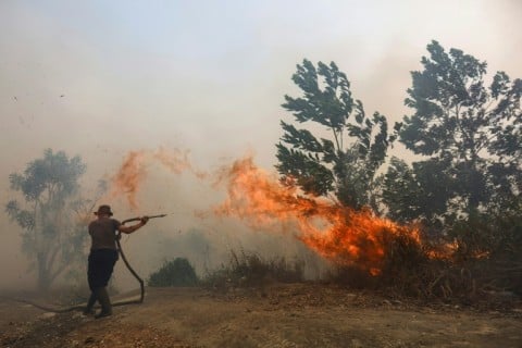The Nusantara Atlas wildfire monitor says the Indonesian blazes have burned more than 1.9 million hectares of land in the first nine months of 2026