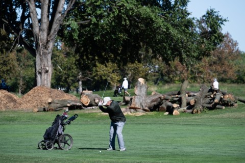 President Donald Trump wants to overhaul a beloved municipal golf course in the US capital. A federal judge has excoriated the administration for cutting down hundreds of trees at the golf course with less than a day's notice.