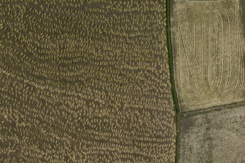 Agricultural fields at Barind region in Godagari, a drought prone area near the Bangladesh-India frontier in Bangladesh's Rajshahi division