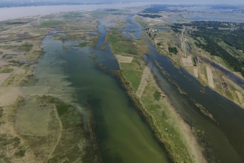 Wetlands along the Padma river at Ramnathpur village, near the Bangladesh-India frontier in Bangladesh's Rajshahi division
