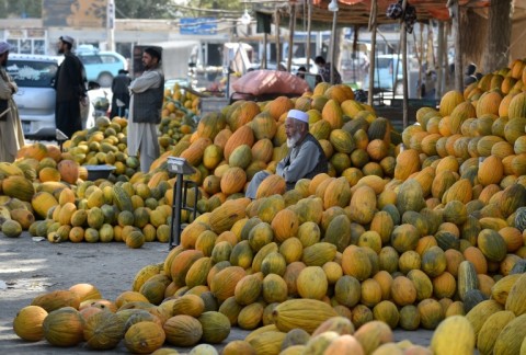Afghans have travelled far and wide to reach areas they or their relatives fled years earlier