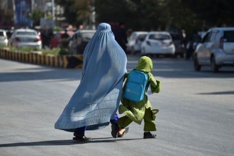 Nearly one in three Afghans are facing food insecurity at crisis levels or worse, according to UN data
