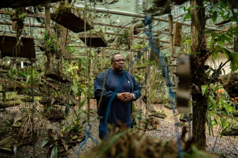 Sibang's director Archange Boupoya says that Gabon's botany is poorly understood by comparison