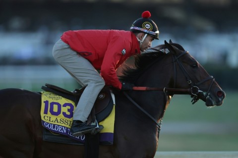Kentucky Derby-winner Golden Tempo trains before the Breeders' Cup Classic at Keeneland Race Course