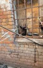 City Power says have handed over 20 illegal migrants to the police/eNCA reporter Nabeelah Shaikh