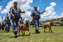 Members of the South African Police Service (SAPS) K-9 Unit march during the Integrated Law Enforcement parade near the Nasrec Expo Centre in Johannesburg, on November 19, 2025.