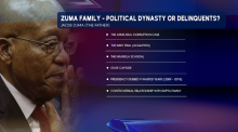 Zuma family graphics