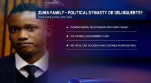 Zuma family graphics