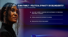 Zuma family graphics