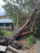 Beaumont Primary School which was damaged