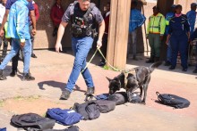 Police-led search and seizure at five schools led to the discovery of nyaope, dagga and abortion pills. Supplied by Gauteng Department of Education.