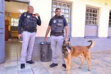 Police-led search and seizure at five schools led to the discovery of nyaope, dagga and abortion pills. Supplied by Gauteng Department of Education.