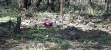Police are combing an active crime scene in Atteridgeville, searching for a suspect accused of kidnapping a child reportedly raping the mother.