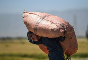 UNICEF and ILO warn that unless urgent action is taken to help ballooning numbers of families plunging into poverty, nearly 50 million more kids could be forced into child labour over the next two years