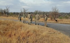 eNCA's Slindelo Masikane in Mpumalanga with cameraman Tebogo Masilo to explore what it's like to travel during a pandemic. First stop, the Kruger National Park.