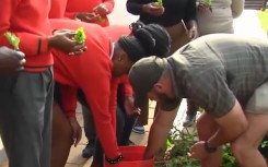  Youth encouraged to start their own food gardens 