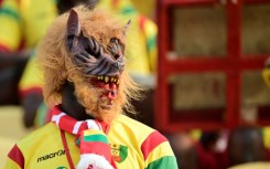 I'm a fan: A Guinean supporter at CAN 2019 in Cairo