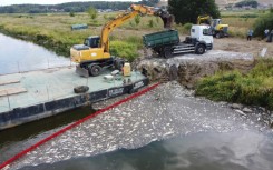 A floating dam is used to encircle dead fish on the Oder River and an escavator to remove them on August 15, 2022 after mass fish deaths taht Polish authorities say are due to toxic algae
