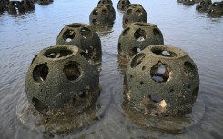 Scientists hope reef balls like these, in waters near Chula Vista, California, will ultimately help protect the coast from erosion made worse by climate change