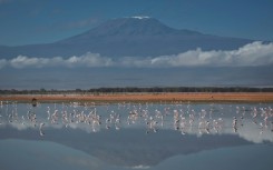 More than 300 people have been mobilised to fight the blaze