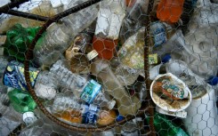 A Greenpeace USA study found that of 51 million tons of plastic waste generated by US households in 2021, only 2.4 million tons was recycled, around five percent