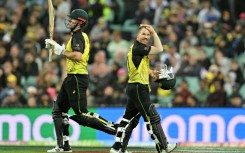 Australia were blasted as 'mediocre' after their World Cup exit