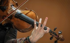 Bow makers fear the decimation of their industry if the trade in pernambuco is banned