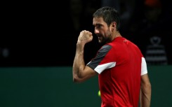 Winning point: Croatia's Marin Cilic celebrates